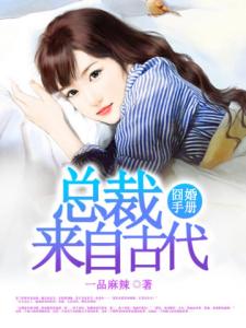 囧婚手册：总裁来自古代