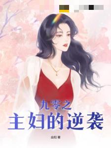 九零之主妇的逆袭