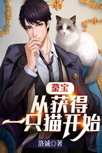 鉴宝：从获得一只猫开始